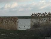 ������ ����� ��������