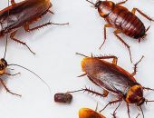 ���������� � ���������� ���������� ��������� ������� ���� ��������