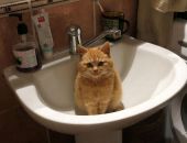 ��� ���� � ���� ���� � �������� � ����� � ������� ���� 4 �����