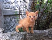 �� ������ �� �����