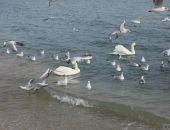 ����� ���� � ��������: ������ �������, ������ ���������� �����