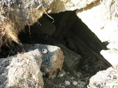 � ���������� ����� � �������� ����� ��������� ������