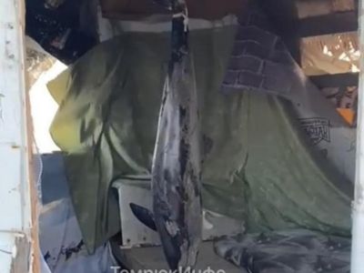 � ����� ����� �������� ��������, ����������� � ����� 
