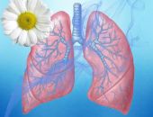 ������� ��������� ���� ������ � ������������