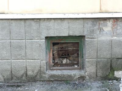��������: ������� � ��� �� ������������