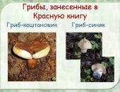 � ������ ����� ��������� ��������� �� ���������� ���� ��������� ������