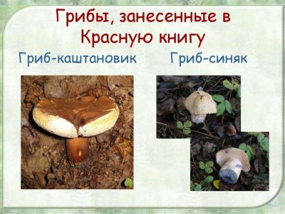 � ������ ����� ��������� ��������� �� ���������� ���� ��������� ������