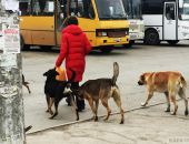 ������ ������ � �������!