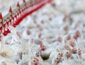 ������ �� ������ ������� ������ ������ �����, �� ��� ��� � ������