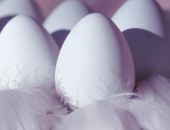 �������� ������ � ���� ����, ������� ������������ �����