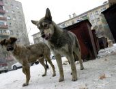 � ���������� ������ ����� ����� ���������� ���������� ��-�� ��������� �����