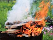 ����������� �������� ������������ � ������ ������� ���������� �� �������� ����������� ���