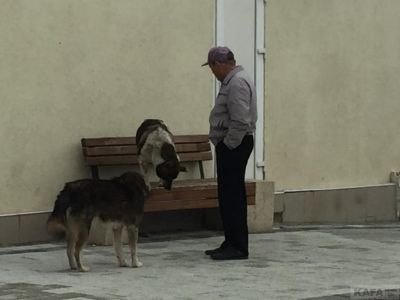 � ����� � ��� ����, � �������� � ��� ������