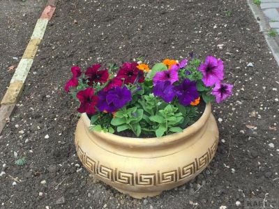 � ����� � ��� ����, � �������� � ��� ������