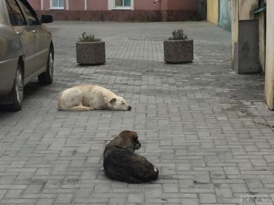 � ����� � ��� ����, � �������� � ��� ������