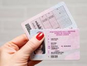 ����� �������� �����������