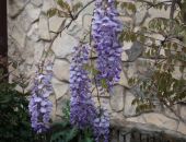 ���� �����, �������� ��������!