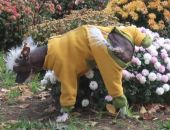 ����� �� �������� �����