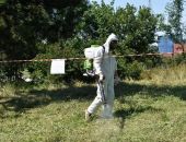 10 млн рублей потратят в Симферополе на борьбу с амброзией