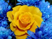 �������� ��� ���� ������������ � �������� ��-�� ����� � ������ ����� �������