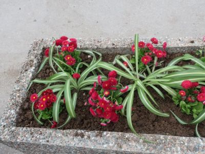 ��������: 10 ���� �� ����...