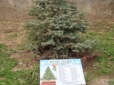 ��������: 10 ���� �� ����...