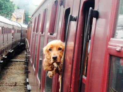 � ������ ��� ������: ������ � ����� �� ����� �������� ����������� � ���������