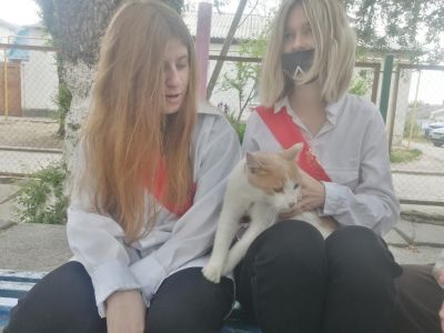 � ������������ ����� �13 ��� ����������� ��������� ��������� ������