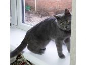 ��������� � �������� ������� � ���������� ������� ��������� ��-�� ����