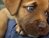 � ������ �������� ����� ������ ��� ���������� �������� ��������