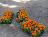 ������� ����������, ������� ������