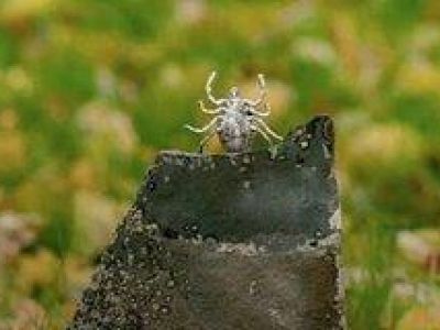 � ������ ������ �������� ����� ������