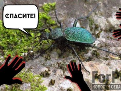 ���� ����� �������� ������ �� ����������� ������������� �����