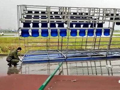 � �������-��-���� �� ������� �������� ���������� �������, 37 ������������