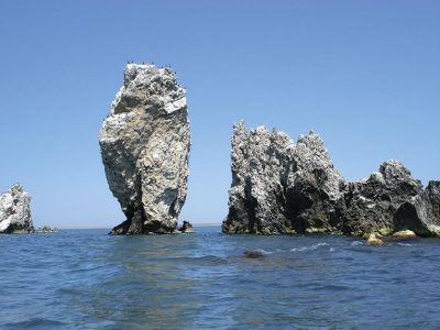 � ���������� ���� ���������� ���� ��������