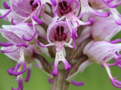 � ����� ���������� ������� ���������� �������