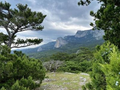 � ���� ����� ��� ���� ����� ������ ������