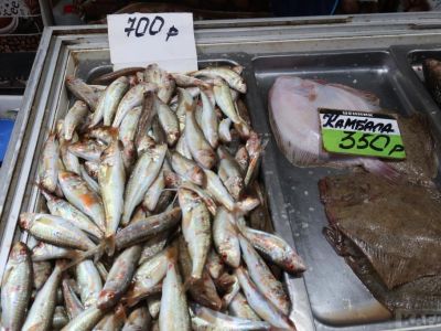 ���� �� ����� ��������:  ���� ��������