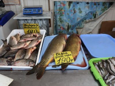 ���� �� ����� ��������:  ���� ��������