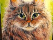 � ���� ���� �������� ���������� 13 ���� ������� ��������� ������ ������ �������� 