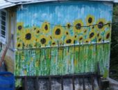 ����� ��������� ����� ��� �����? �������� ���� � �������������� ������!