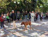 � �������� ������� �������� �����