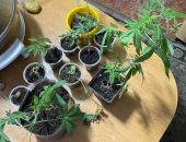 � �������� ��������������� ������� ���� ����������� ������� �� �������