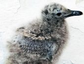 ����� ��� �������� ������!�