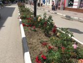 ����� �� ��������