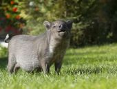 ��� ��������� � ���� ������ �� ��� ���������� ���������