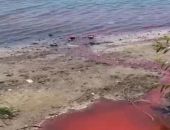 ���� � ���� � �������-��-���� ���������� � ������� � ������� �����