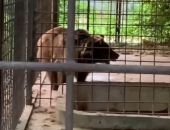 ������ ��������� ������������ �� ������� ���������� ������� � ������� ��������
