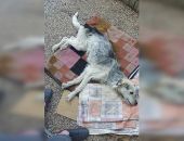 �� ������� �������� ������ � ����� ���������� ������� ������ ������ ������ 