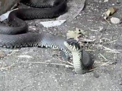 ��������� ���� � ������ ����� ��������� ����������